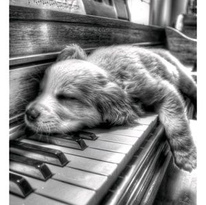 Meet your Posher, Haley